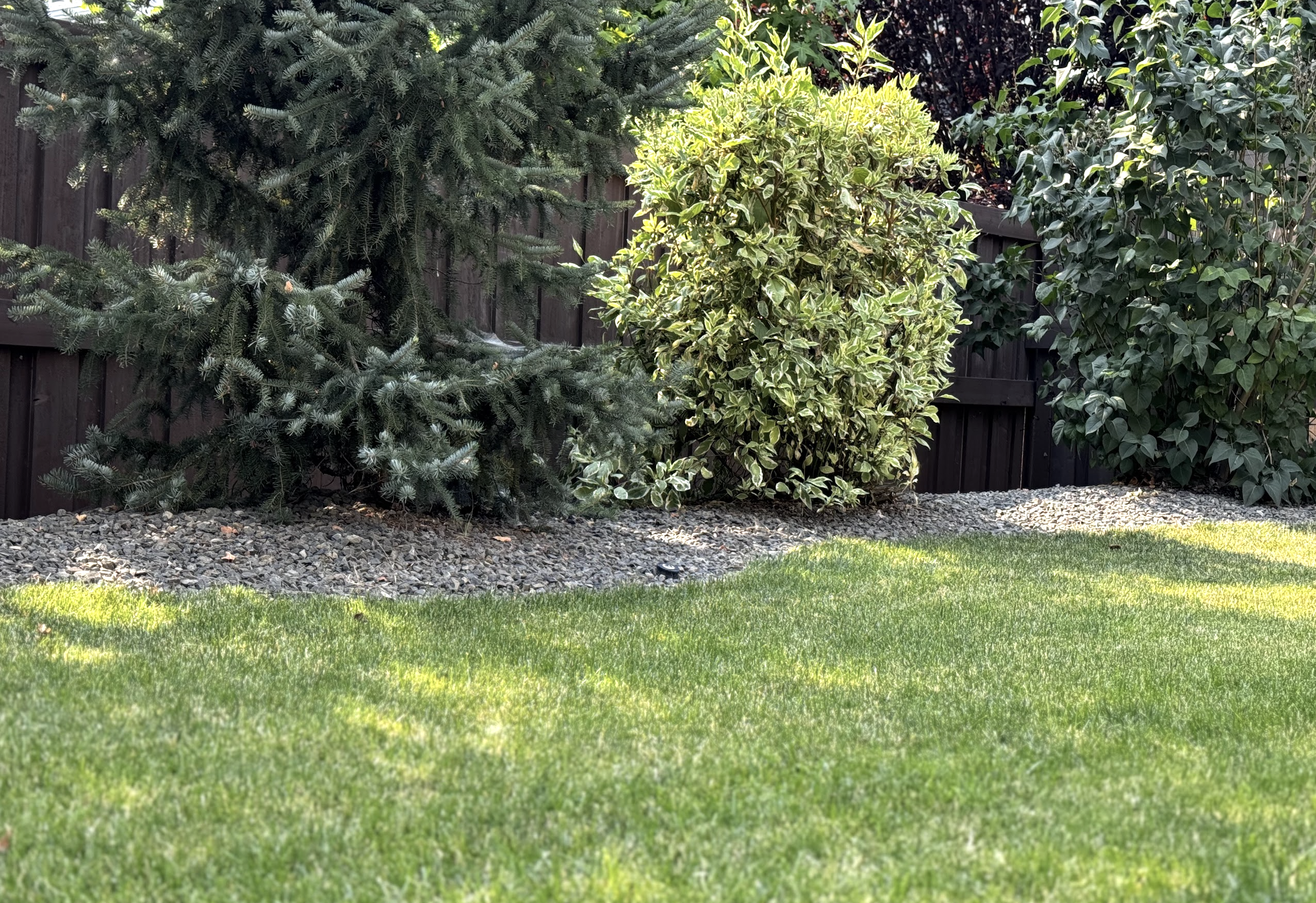 rock landscaping